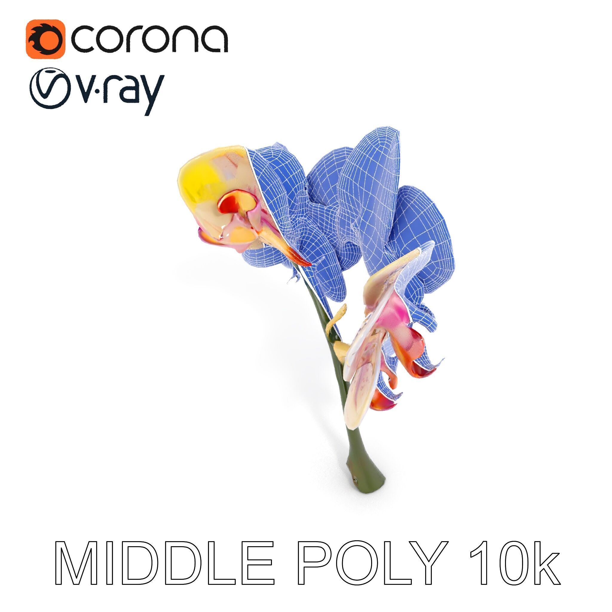 Orchid Flower D Model Pack Low-poly 3D model_24