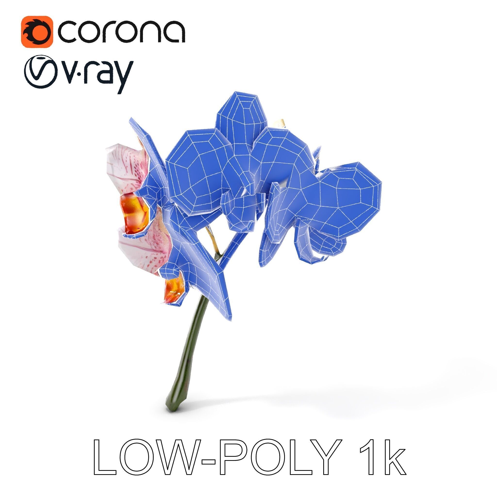 Orchid Flower D Model Pack Low-poly 3D model_11
