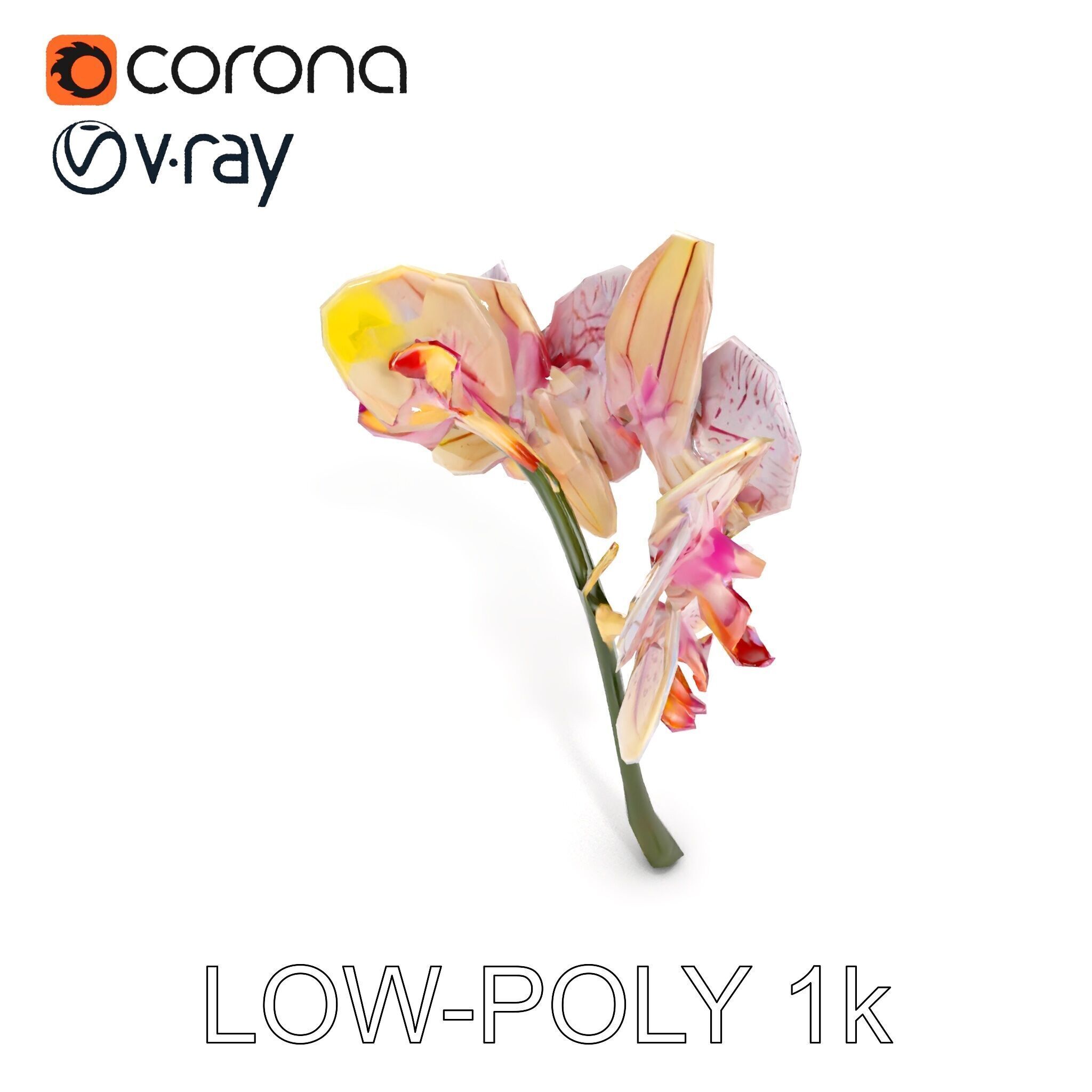 Orchid Flower D Model Pack Low-poly 3D model_19