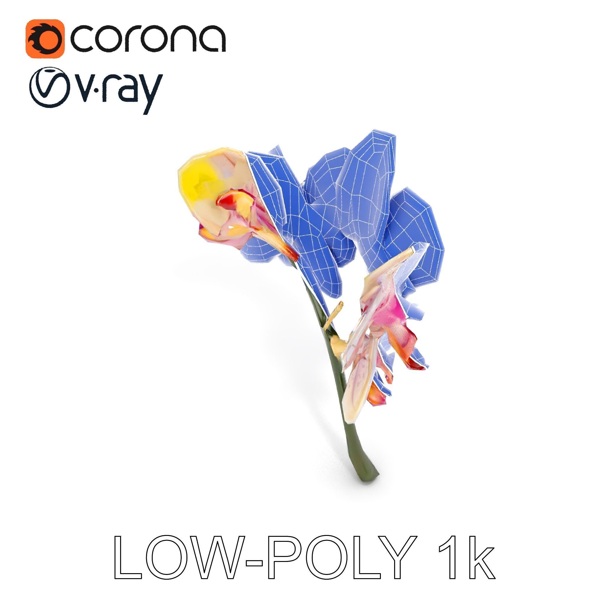 Orchid Flower D Model Pack Low-poly 3D model_25