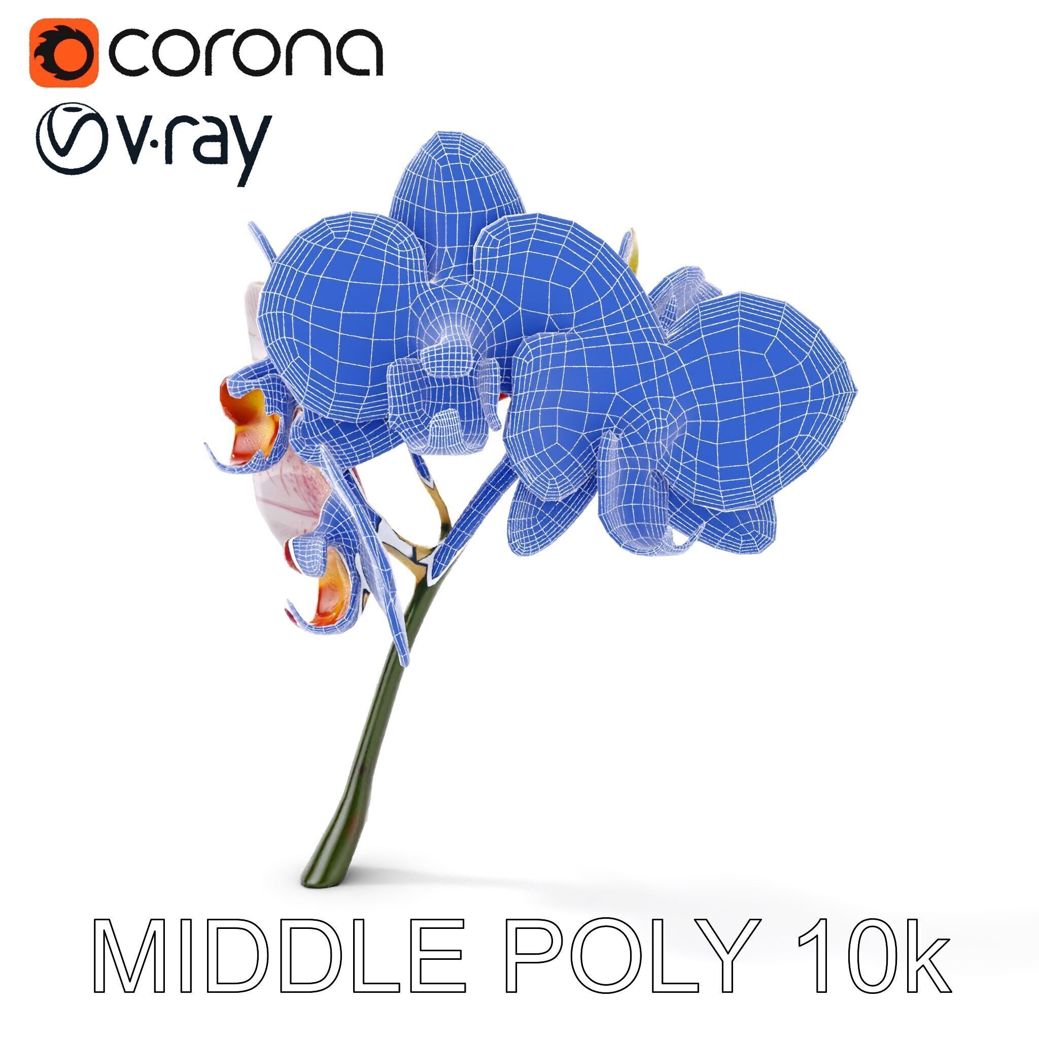 Orchid Flower D Model Pack Low-poly 3D model_30