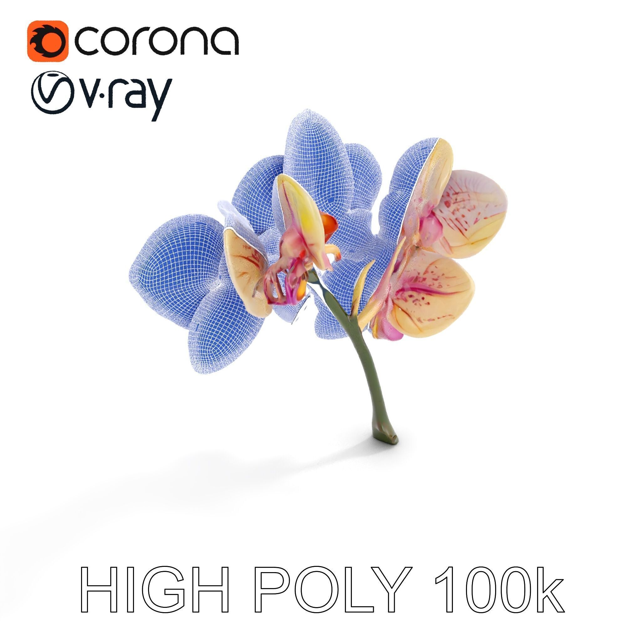 Orchid Flower D Model Pack Low-poly 3D model_32
