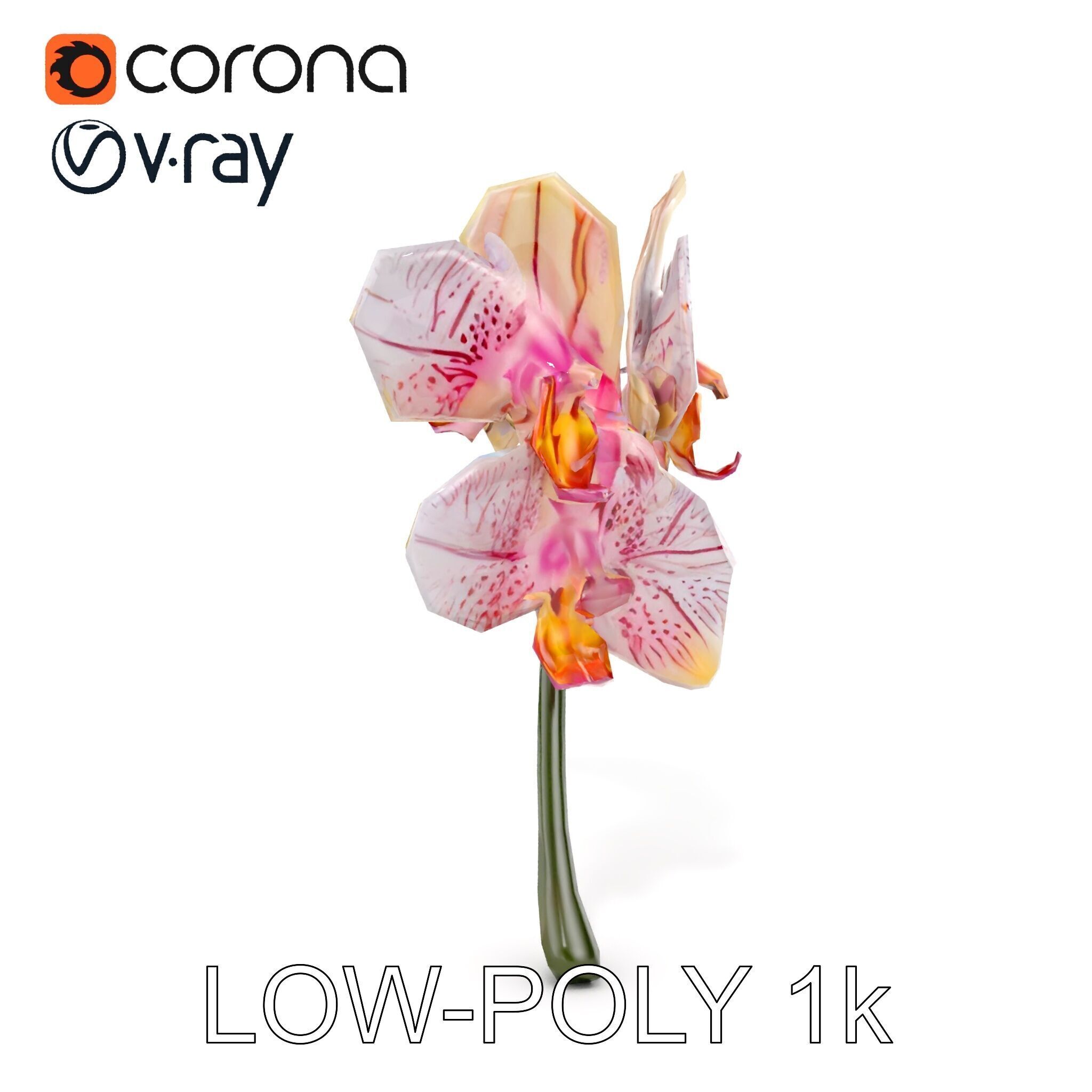 Orchid Flower D Model Pack Low-poly 3D model_16