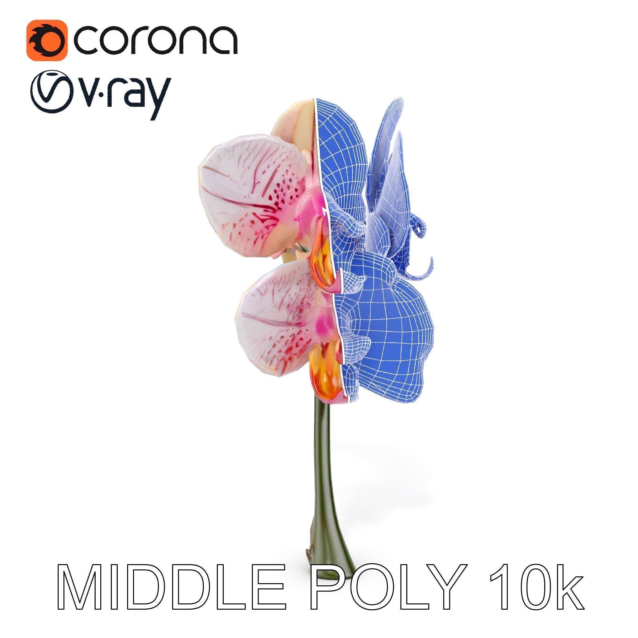 Orchid Flower D Model Pack Low-poly 3D model_21