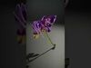 Orchid Models Collection _8