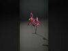 Orchid Models Collection _19