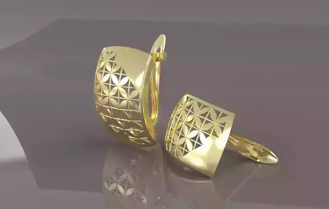 Earrings Collection for women 3D print model