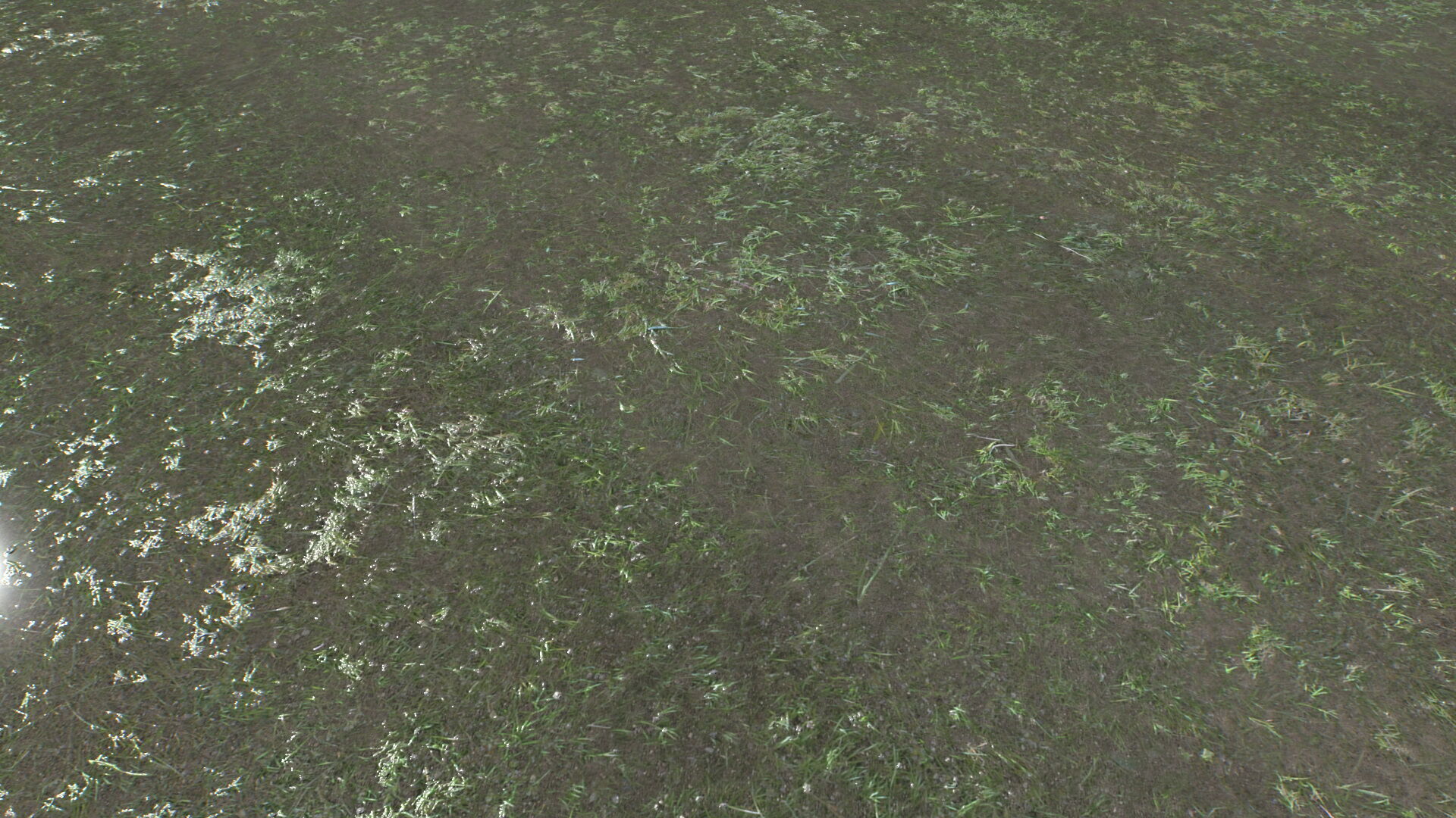 Water with algae and Plants 4 Texture_2