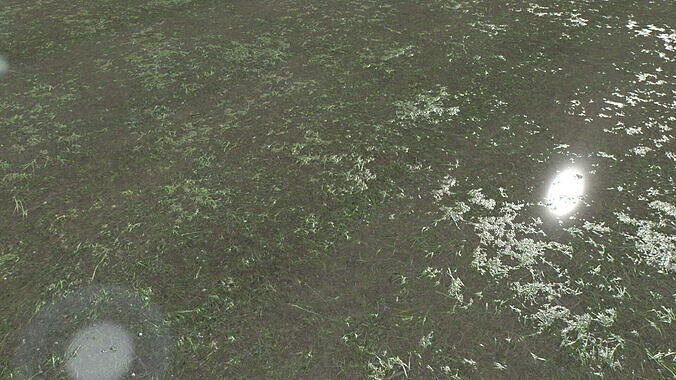 Water with algae and Plants 4 Texture