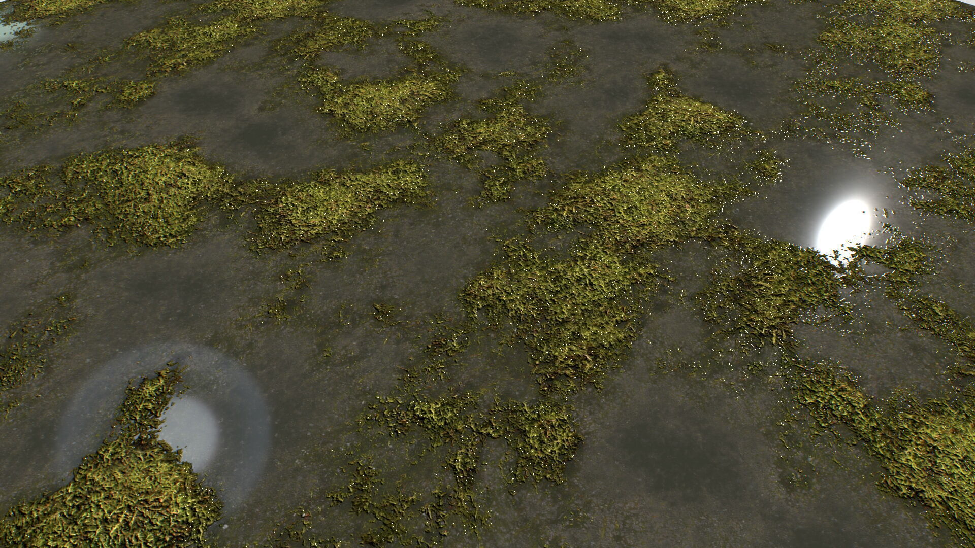 Water with algae and Plants 4 Texture_7