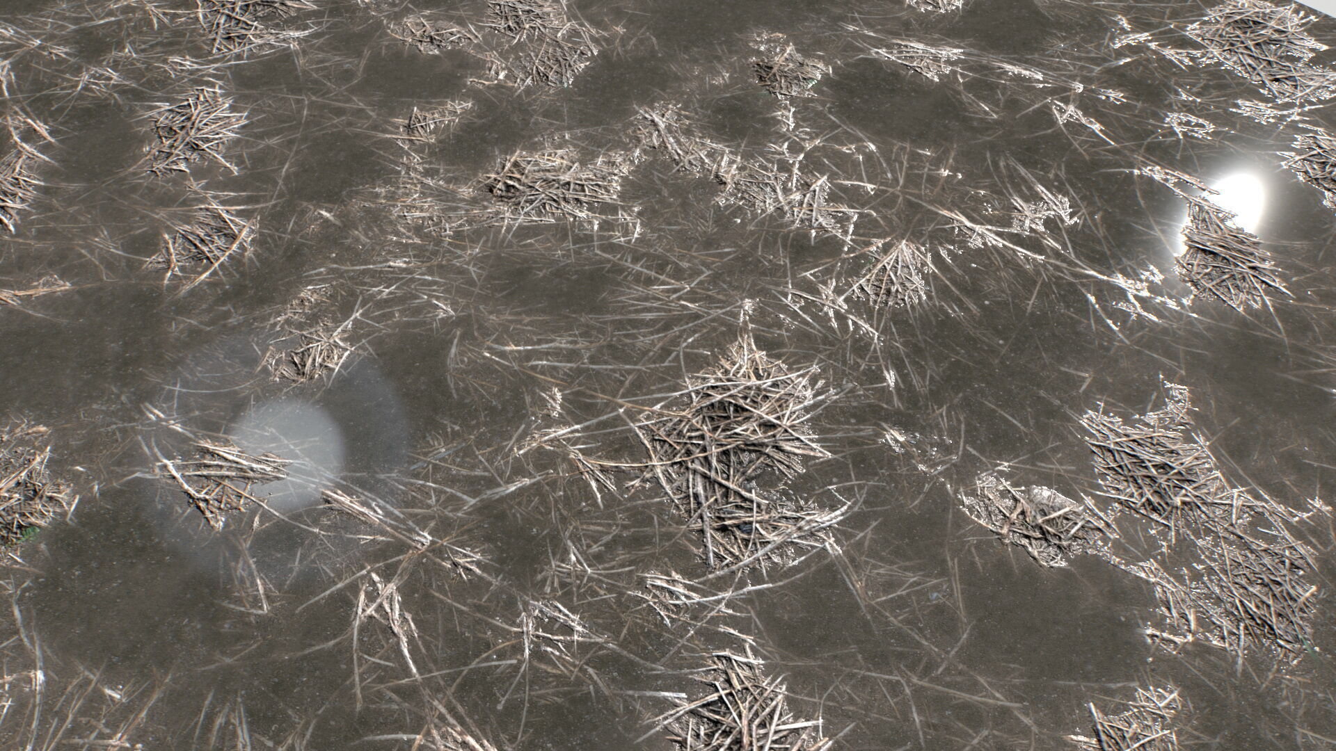 Water with algae and Plants 4 Texture_6