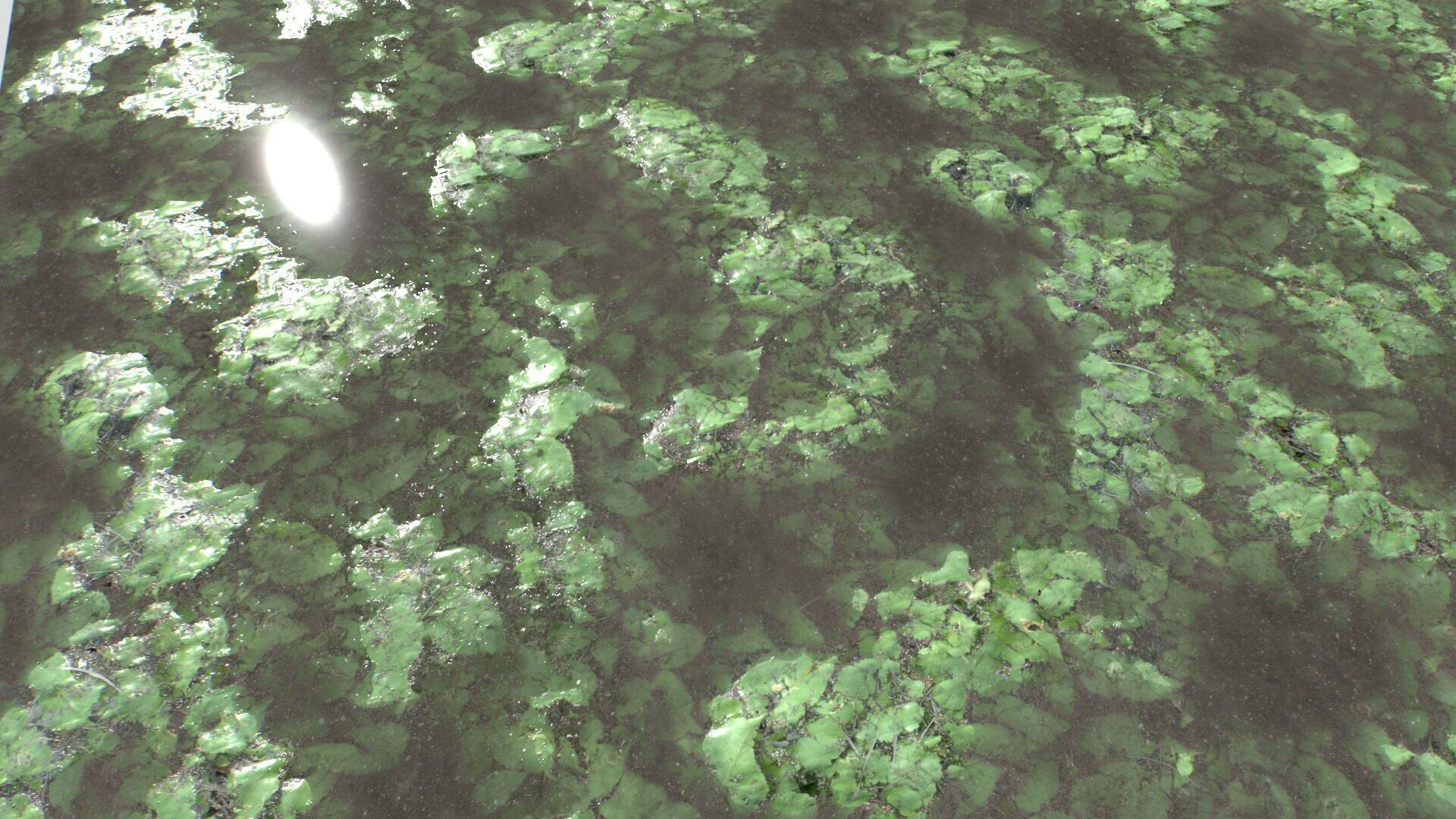 Water with algae and Plants 4 Texture_4