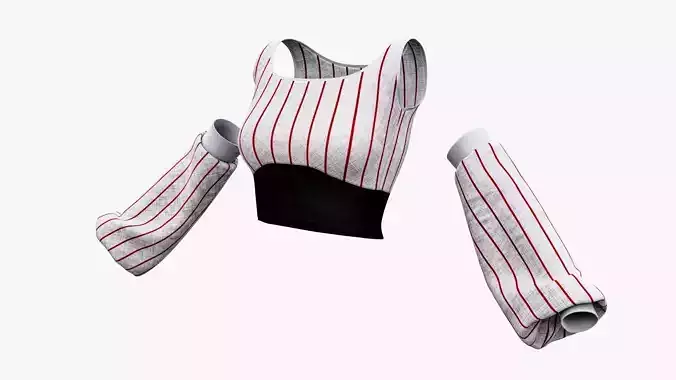 Womens Top and Sleeves