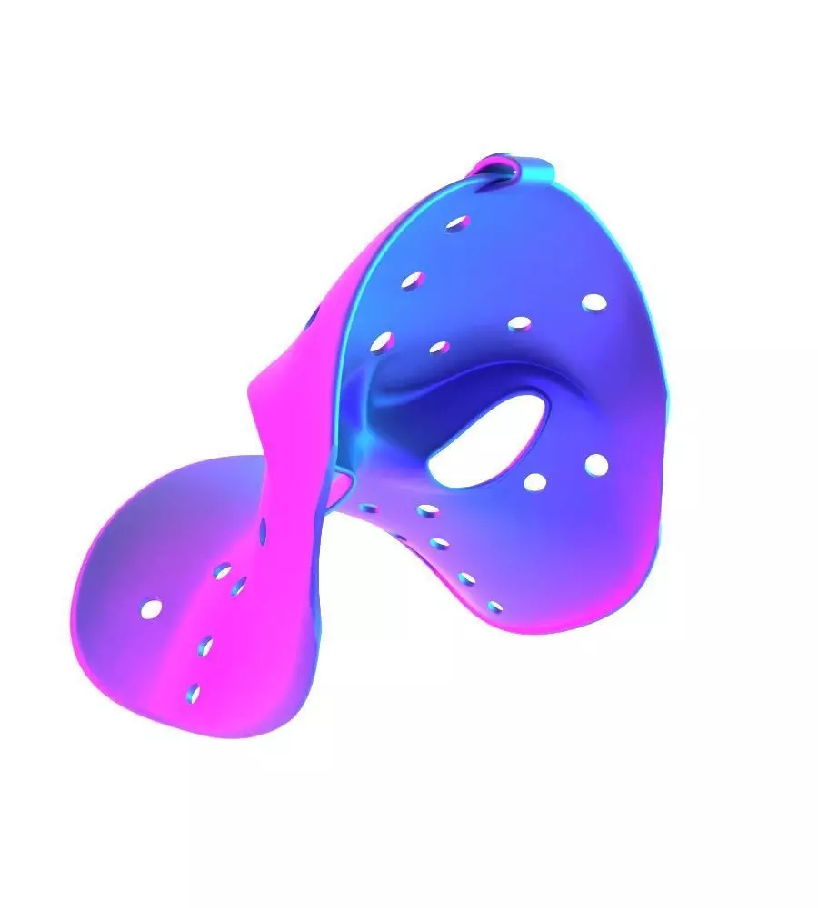 Daffy Duck Hockey Mask toy 3D print model_9