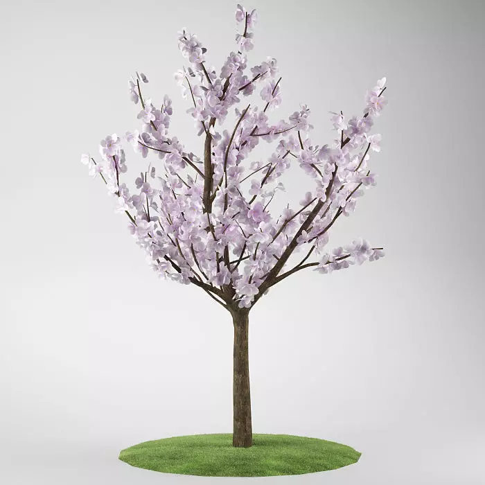 Flower tree magnolia 02 3D model_0