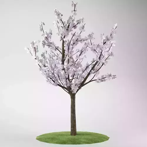 Flower tree magnolia 02