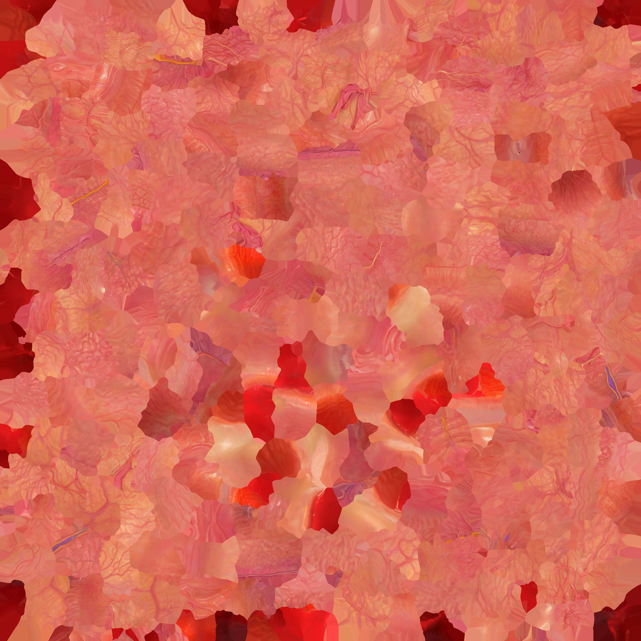 Realistic Human Stomach 3D Model Medical Anatomy Low-poly 3D model_19