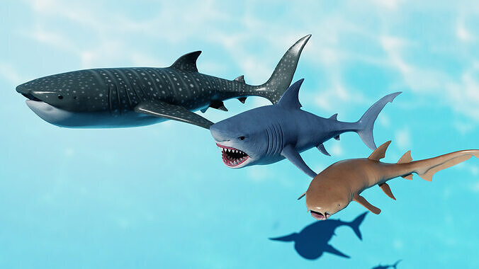 Shark Pack Three Species Rigged and Animated Game Ready Low-poly 3D model