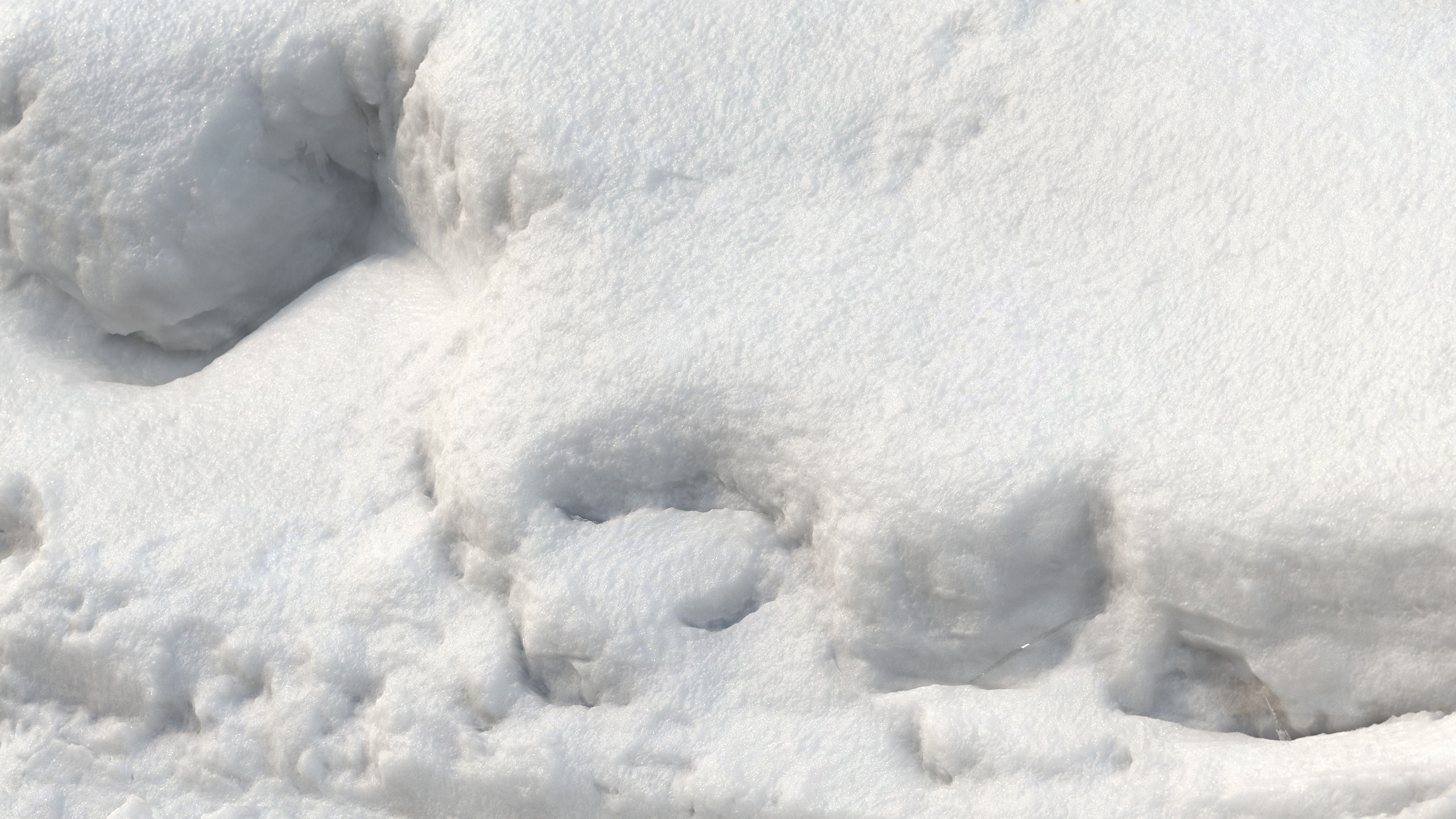 Snow 16 PBR Low-poly 3D model_3