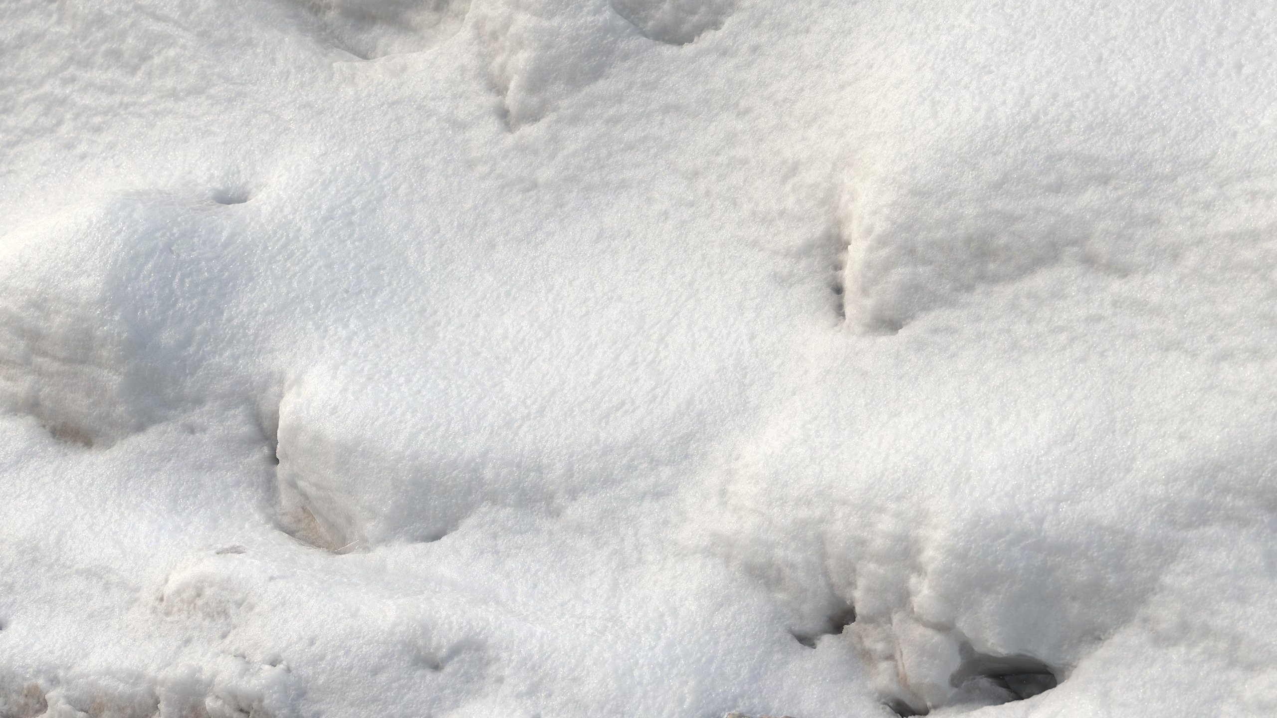 Snow 16 PBR Low-poly 3D model_11