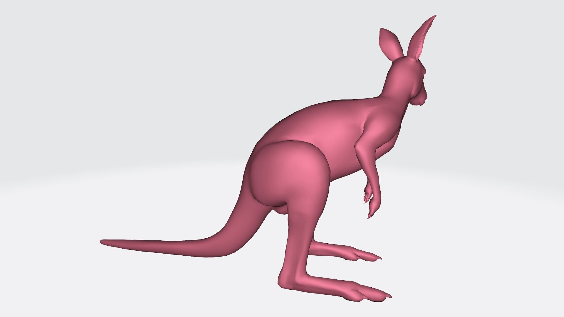 Kangaroo 3D Model Ready to Print 3D print model_3