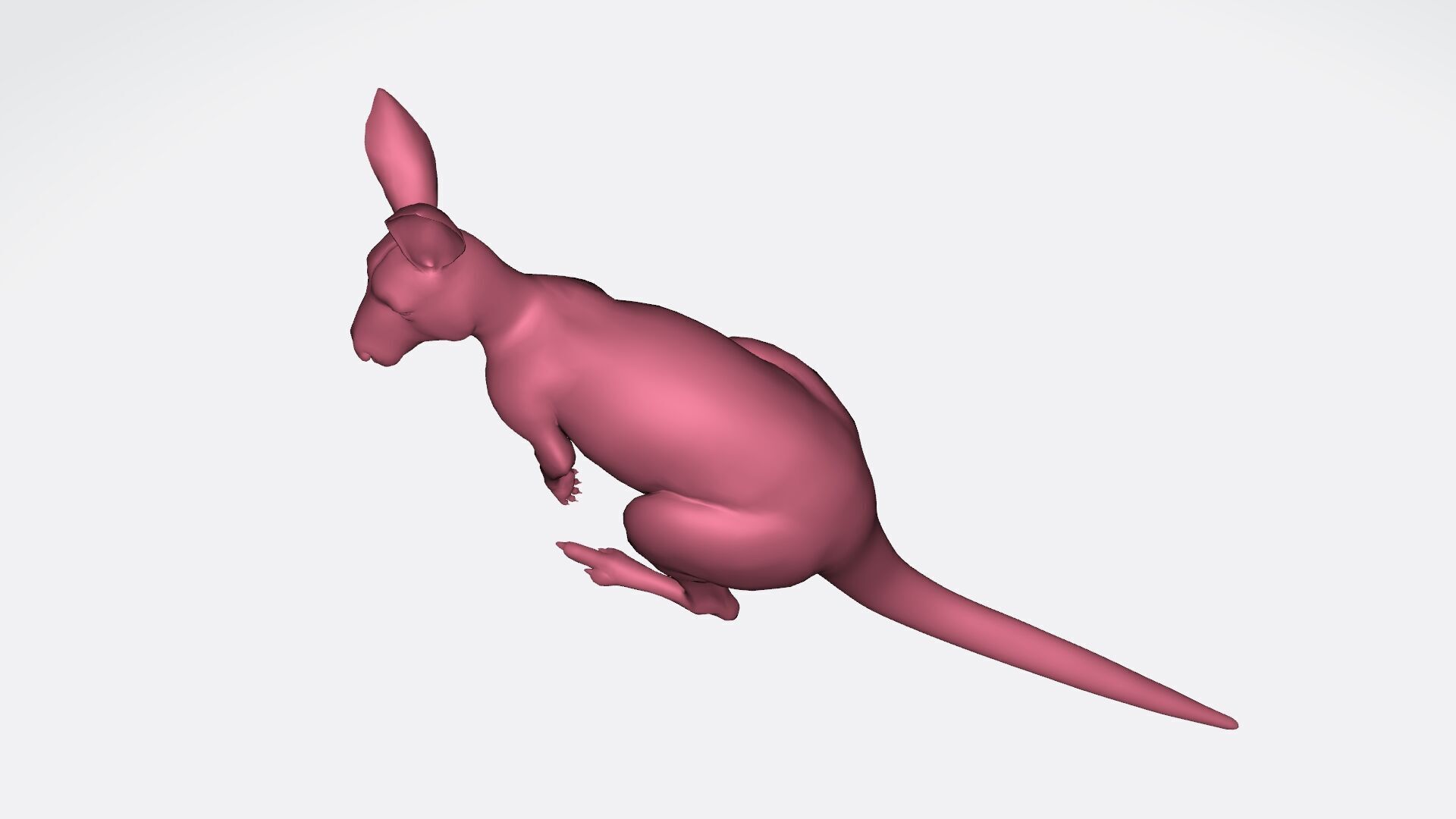 Kangaroo 3D Model Ready to Print 3D print model_5