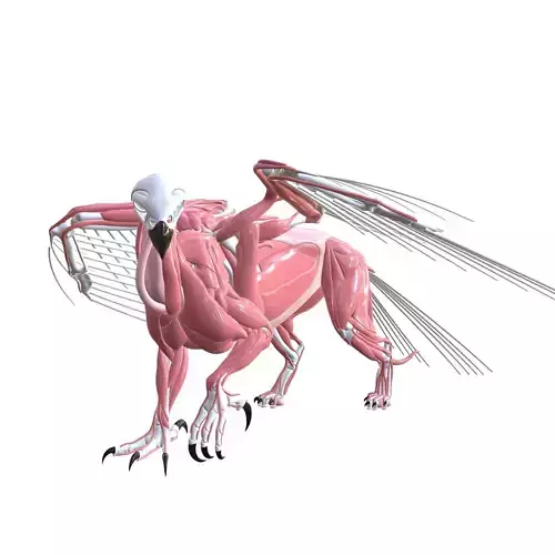 BUCKBEAK BIRD WITHERWINGS BALENICIPITIDAE HIPOGRIFO HARRY POTTER