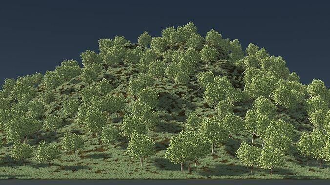 Forest hill 25L01 3D model