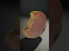 Ultimate 3D Meat Cuts Collection _7