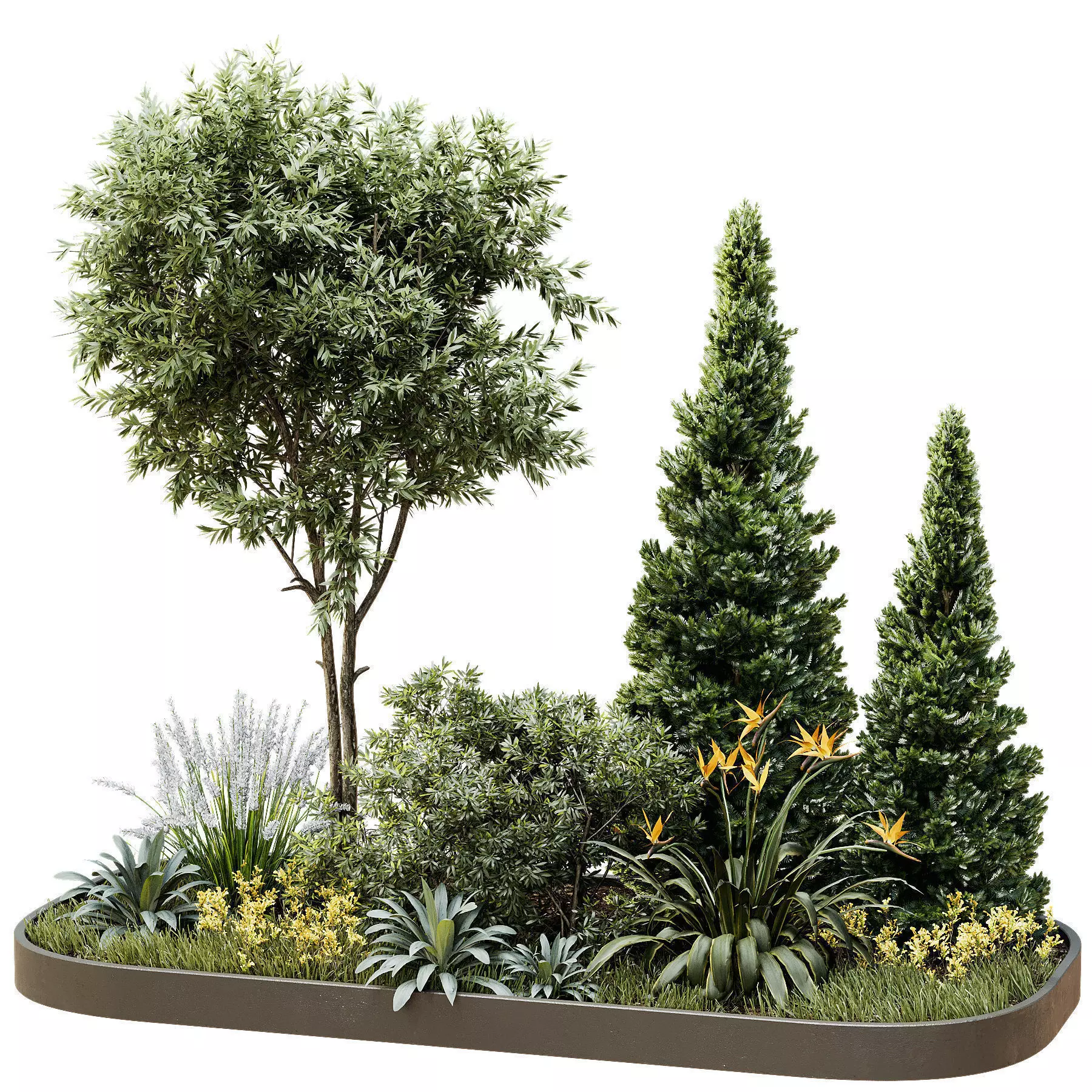 Outdoor Plant 44 3D model