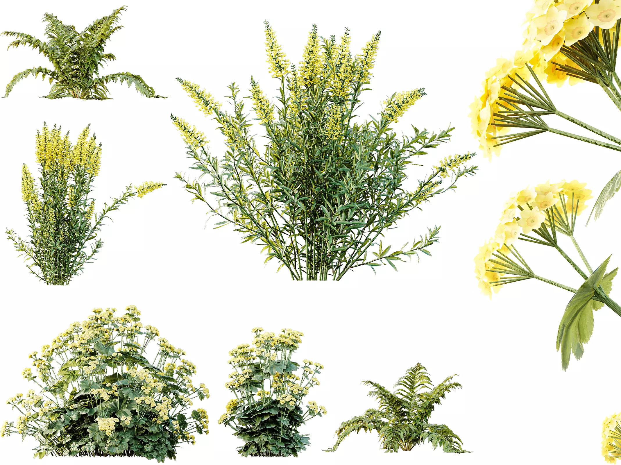 AV 10 Different colorful spring bushes 3D model_0