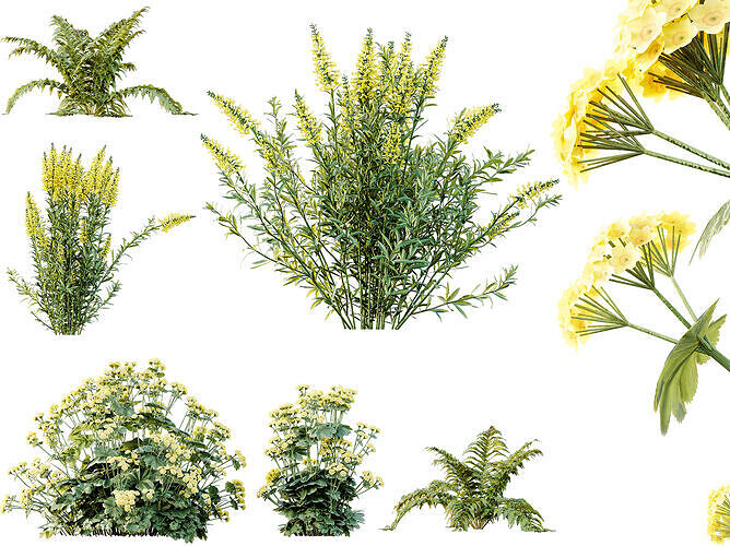 AV 10 Different colorful spring bushes 3D model