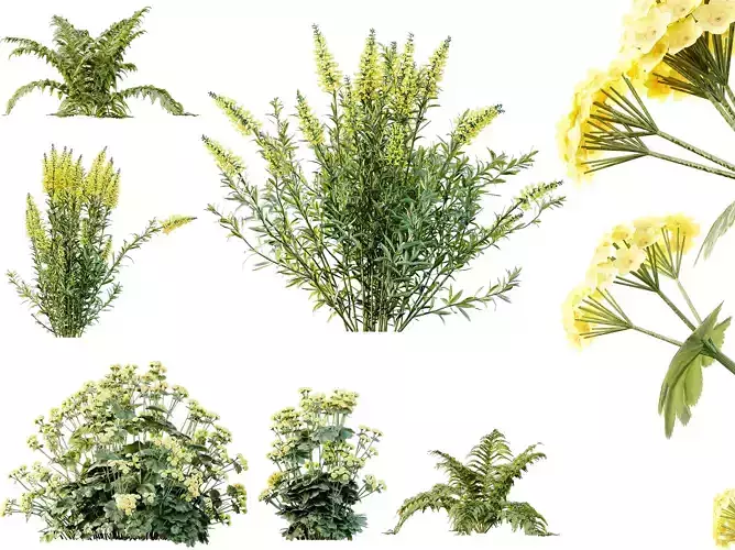 AV 10 Different colorful spring bushes 3D model