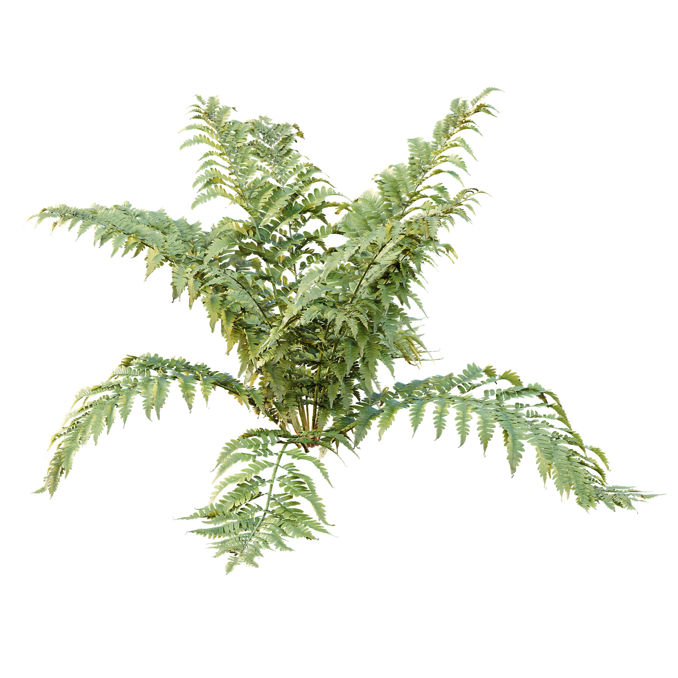 AV 10 Different colorful spring bushes 3D model_6