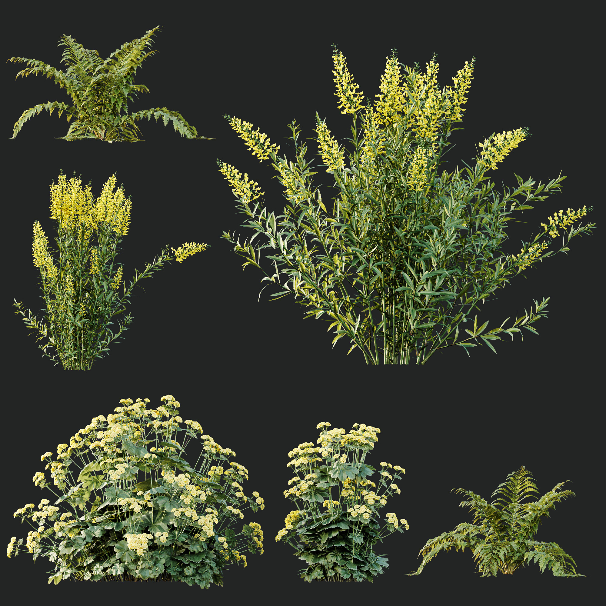 AV 10 Different colorful spring bushes 3D model_7