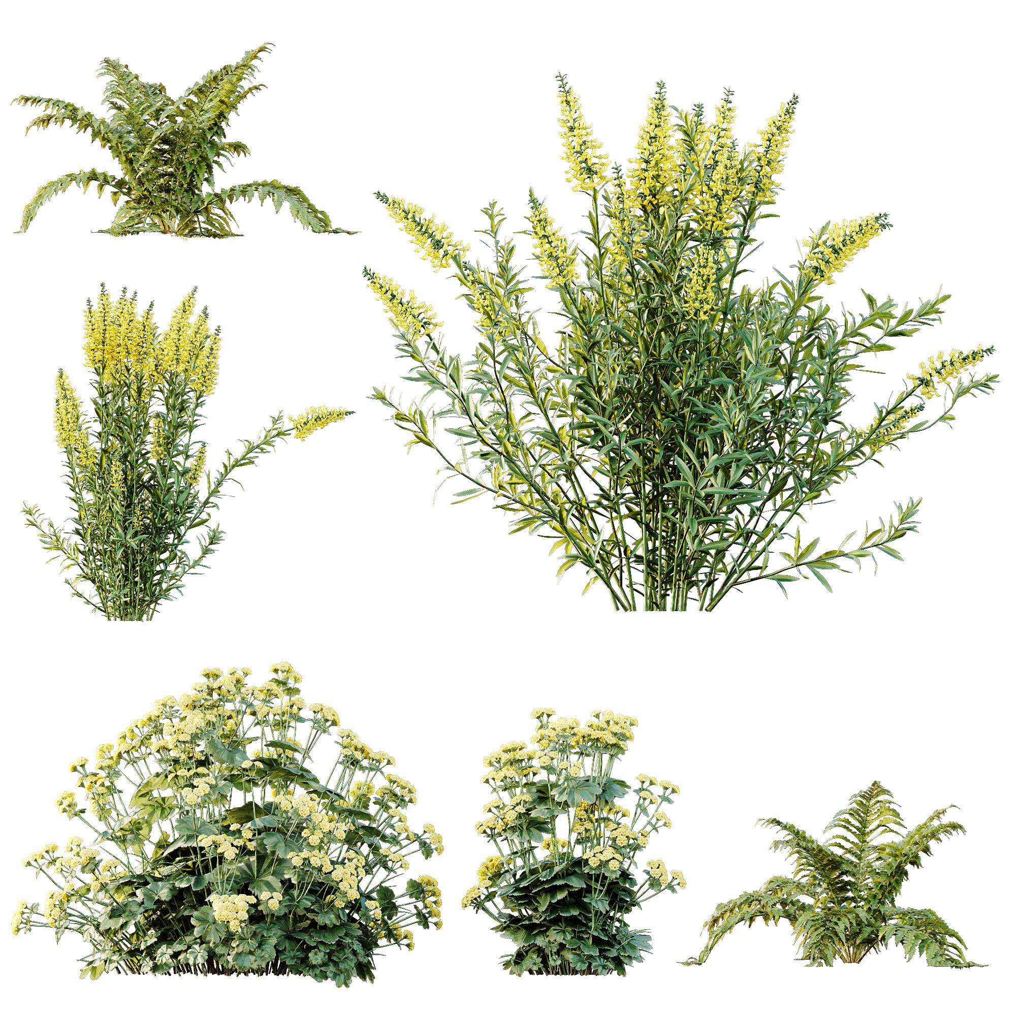 AV 10 Different colorful spring bushes 3D model_14