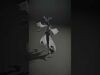 Mystic Creatures Collection _5