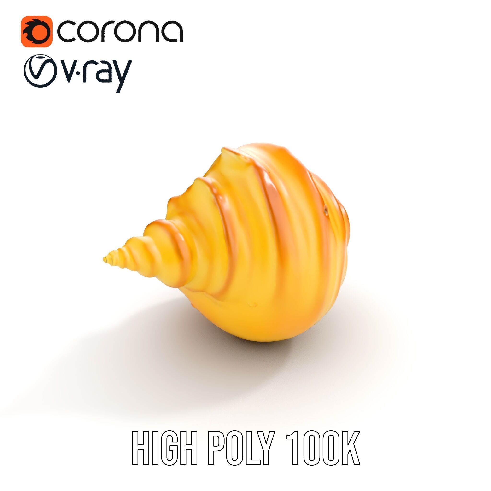 Natural Sea Conch Shell D Model Pack Low-poly 3D model_6