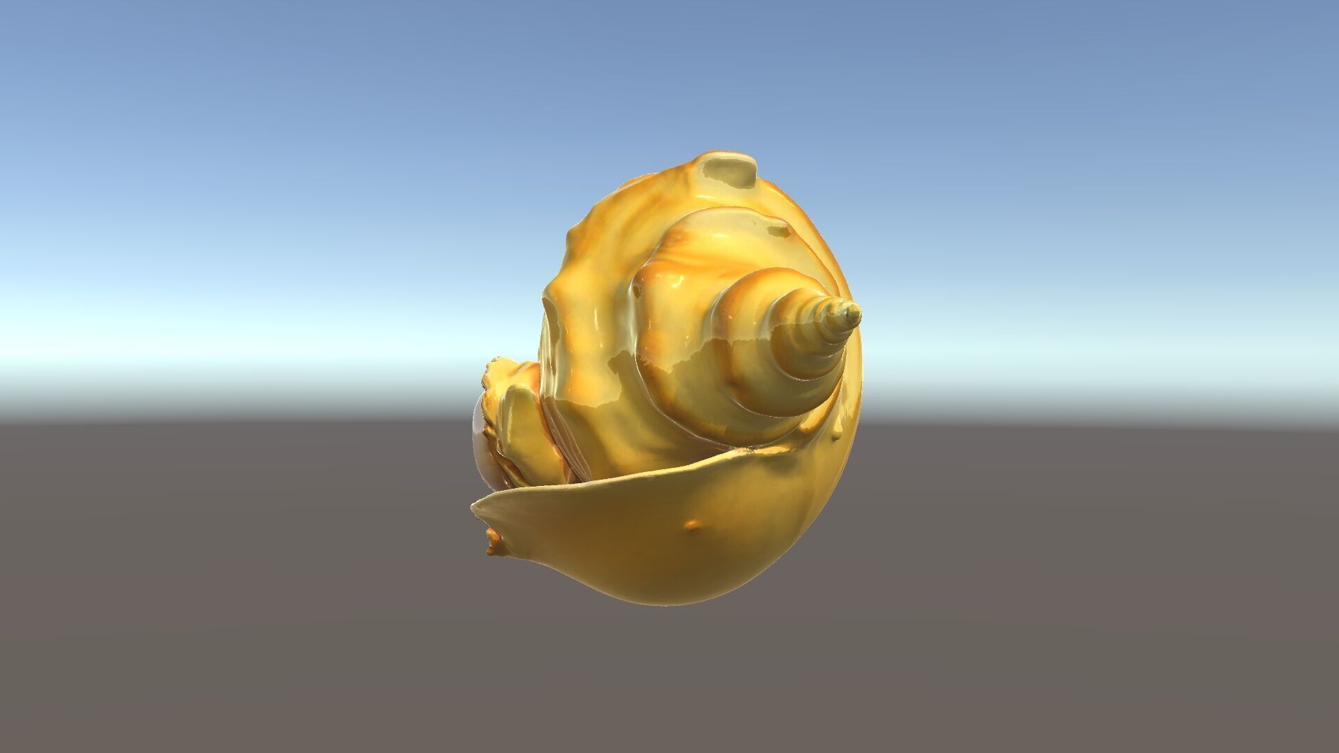 Natural Sea Conch Shell D Model Pack Low-poly 3D model_5