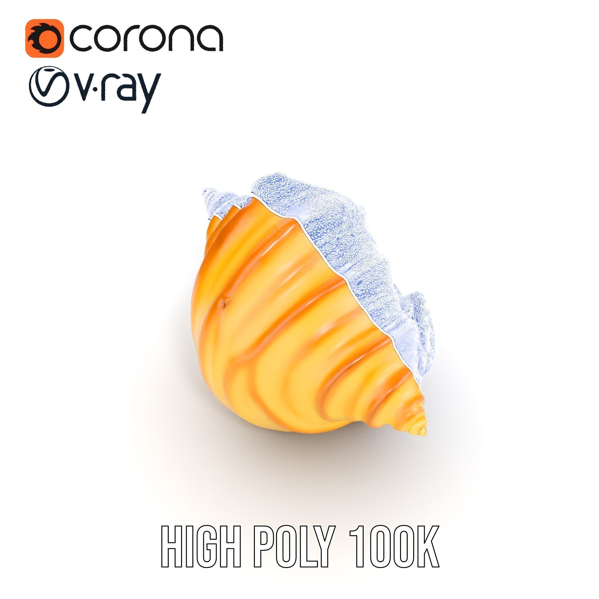 Natural Sea Conch Shell D Model Pack Low-poly 3D model_28