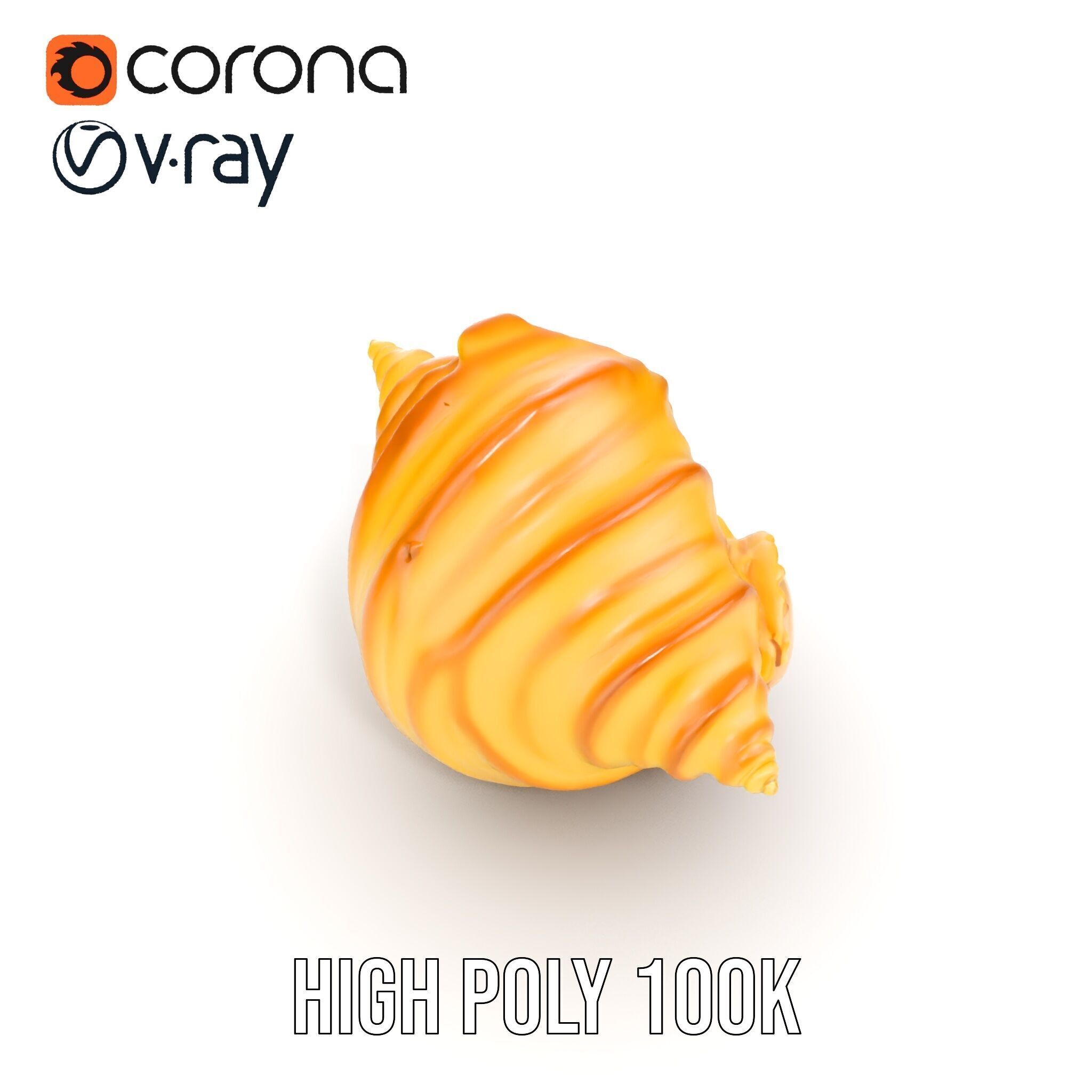 Natural Sea Conch Shell D Model Pack Low-poly 3D model_8