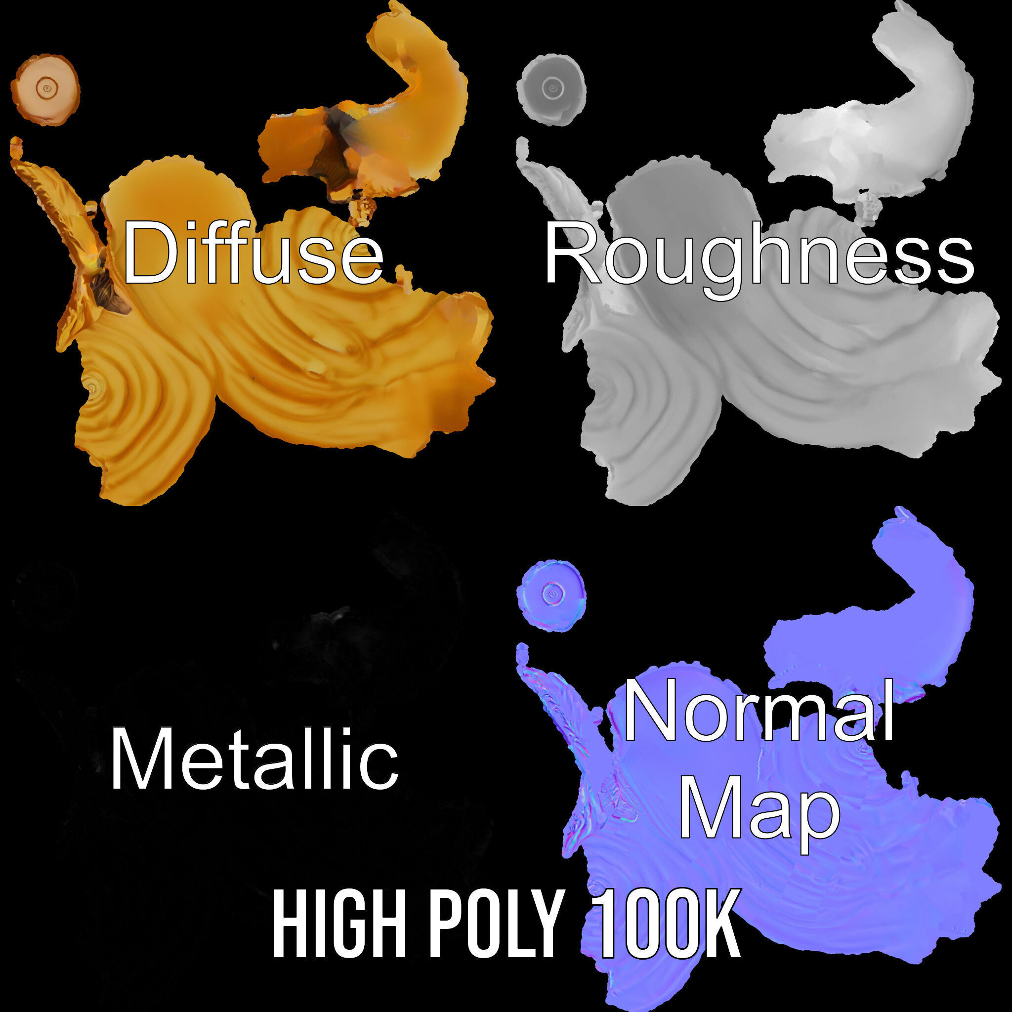 Natural Sea Conch Shell D Model Pack Low-poly 3D model_3