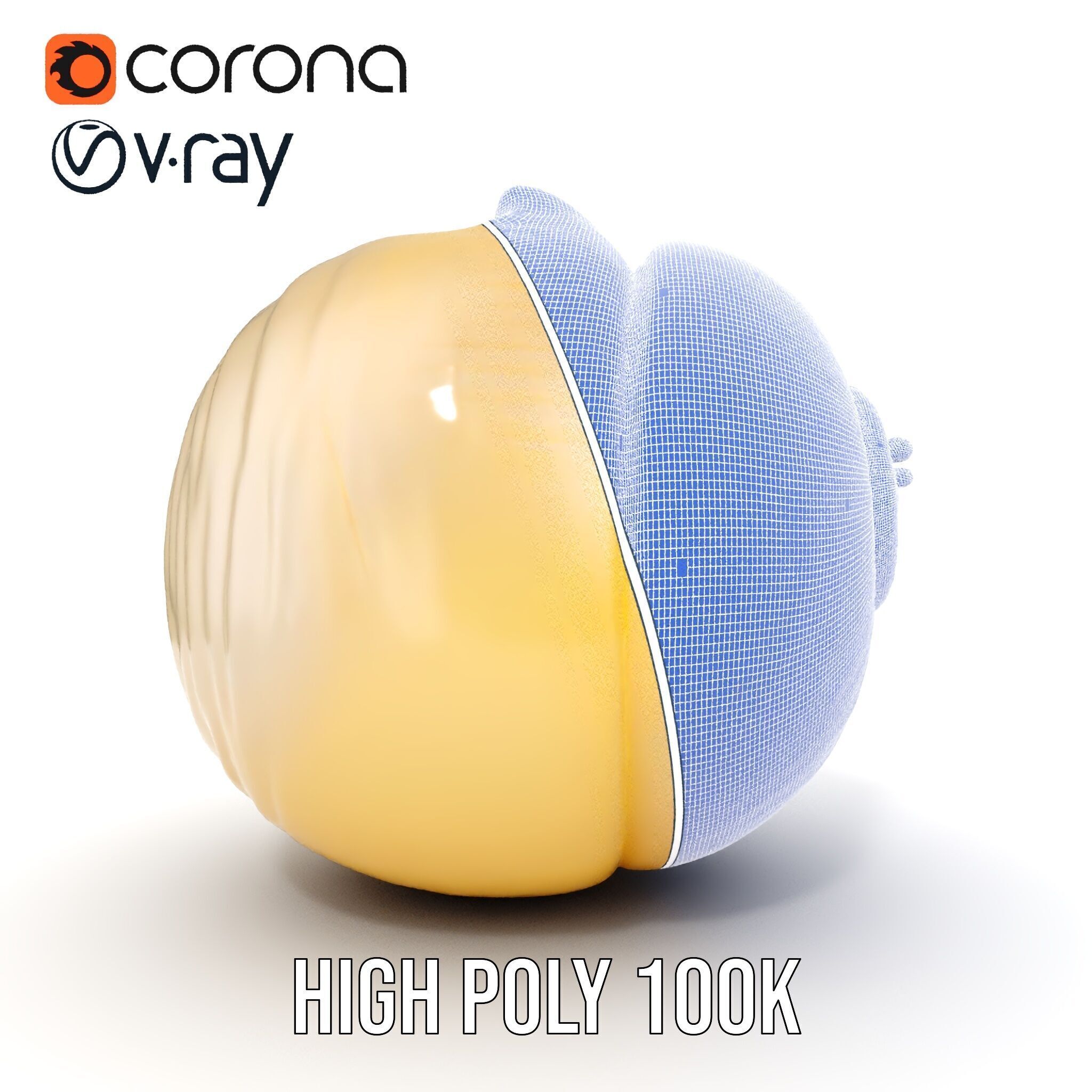 Elegant Seashell Model Pack for D Rendering and Game Design Low-poly 3D model_35