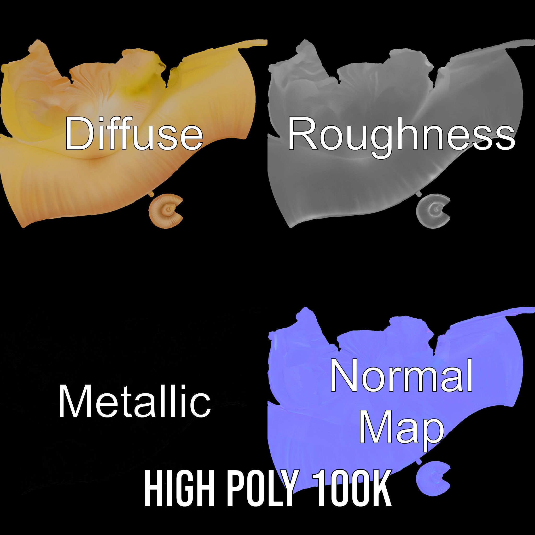 Elegant Seashell Model Pack for D Rendering and Game Design Low-poly 3D model_3