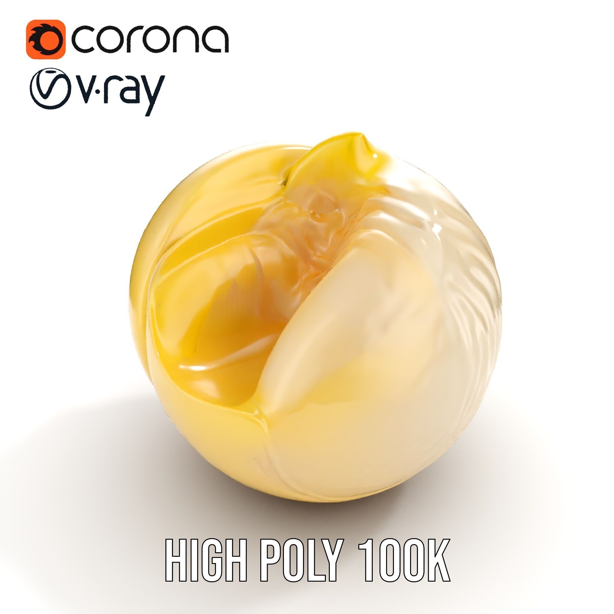 Elegant Seashell Model Pack for D Rendering and Game Design Low-poly 3D model_15