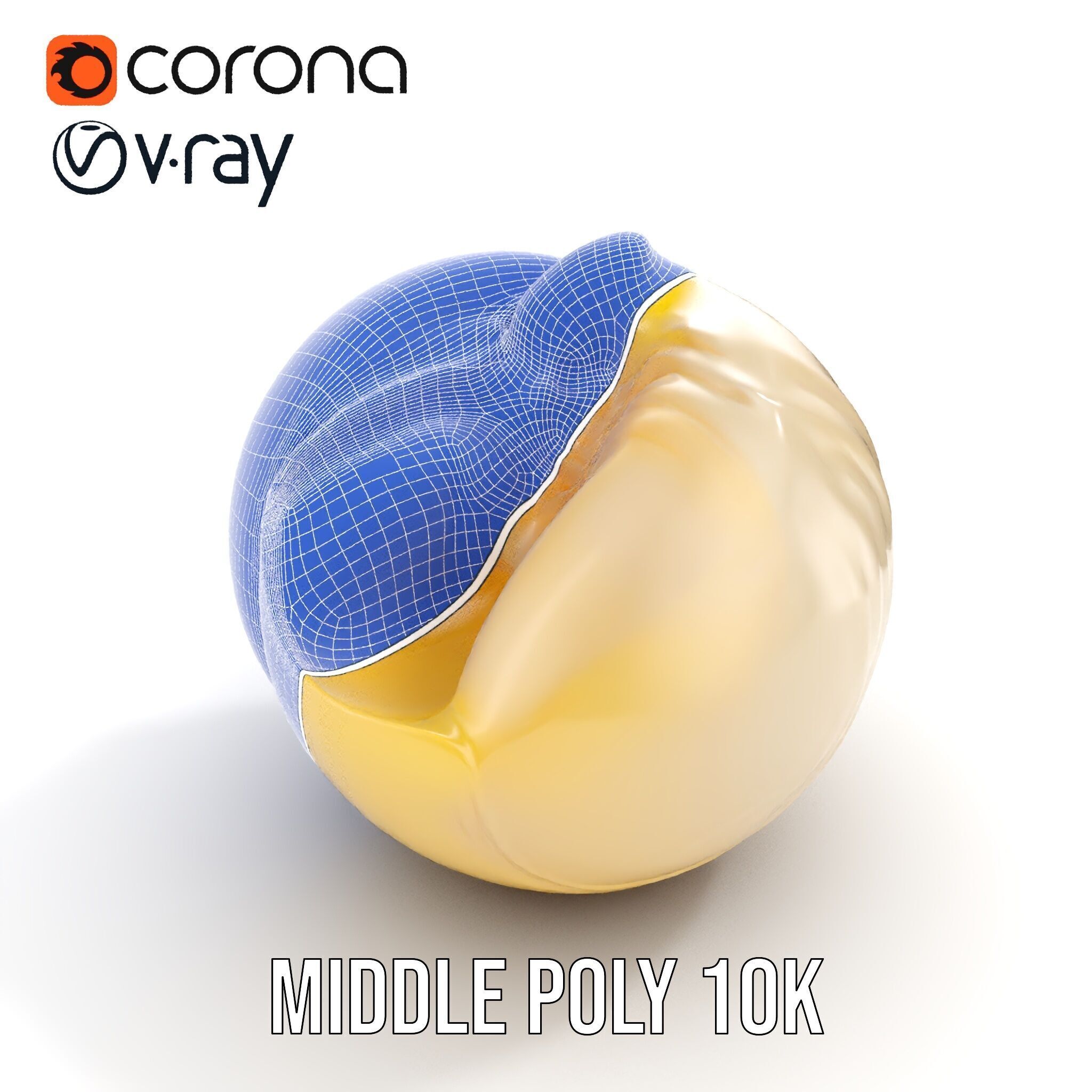 Elegant Seashell Model Pack for D Rendering and Game Design Low-poly 3D model_16