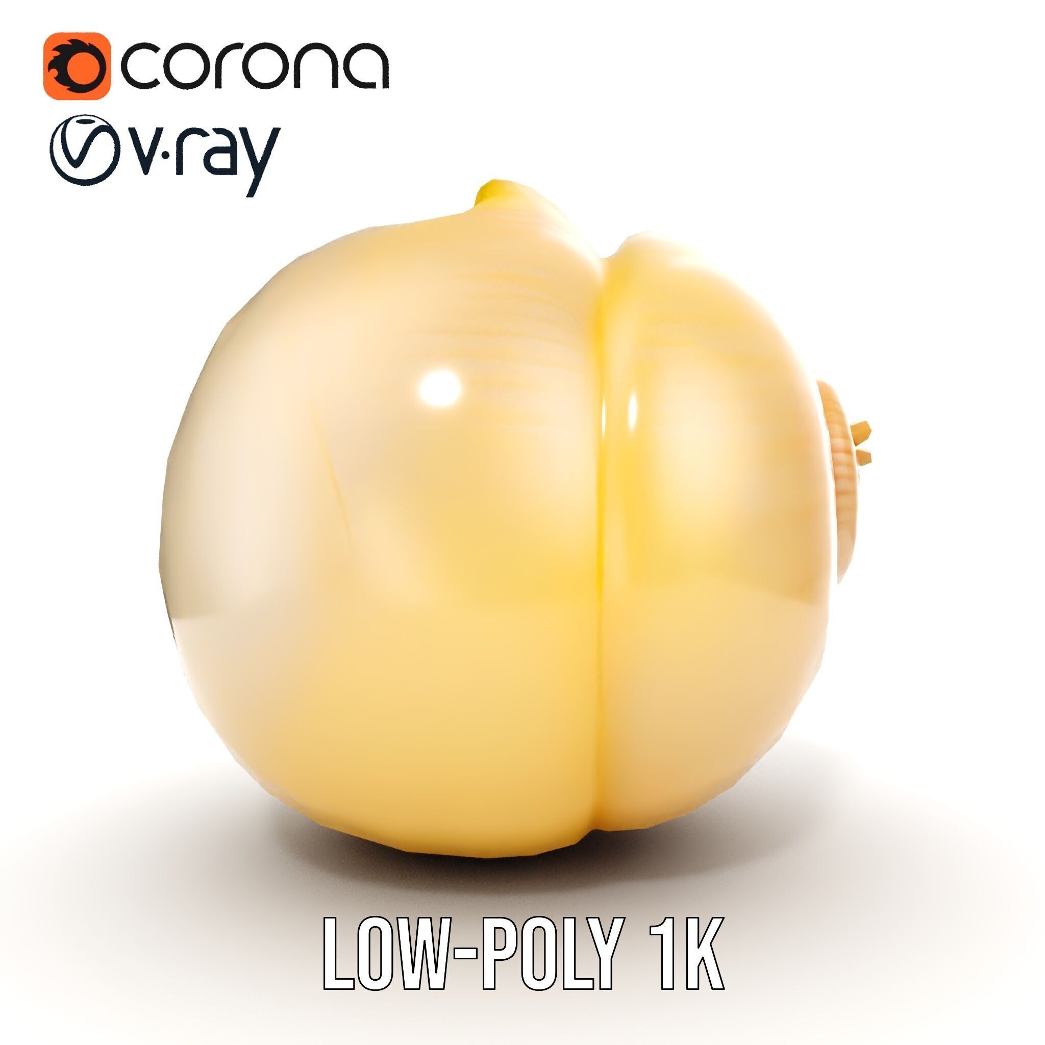 Elegant Seashell Model Pack for D Rendering and Game Design Low-poly 3D model_31