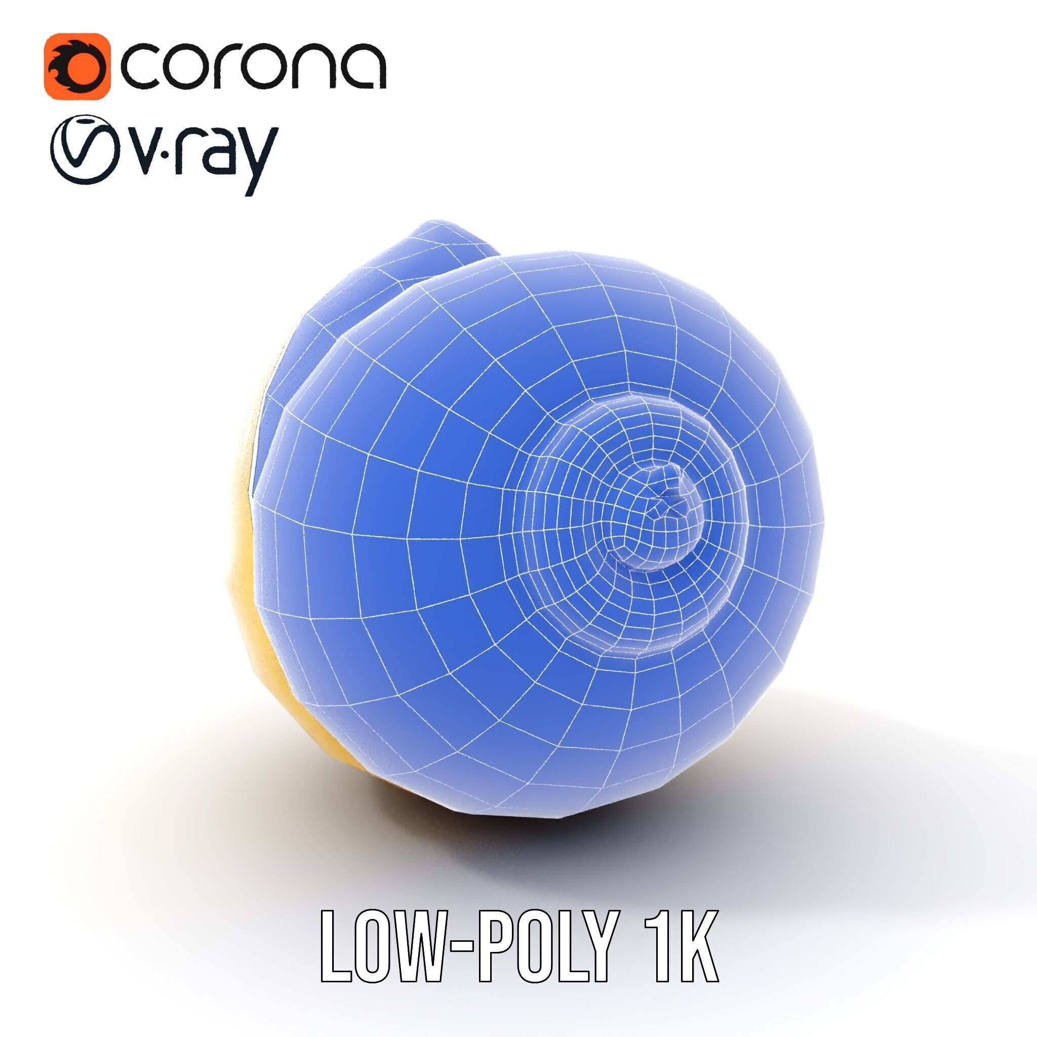 Elegant Seashell Model Pack for D Rendering and Game Design Low-poly 3D model_29