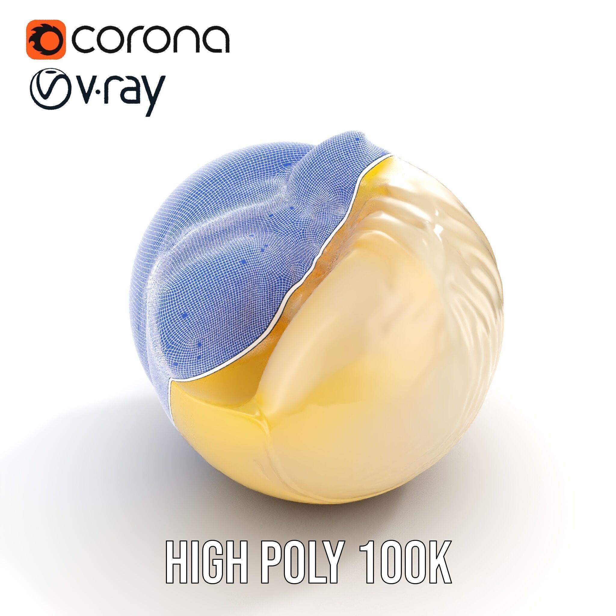 Elegant Seashell Model Pack for D Rendering and Game Design Low-poly 3D model_21