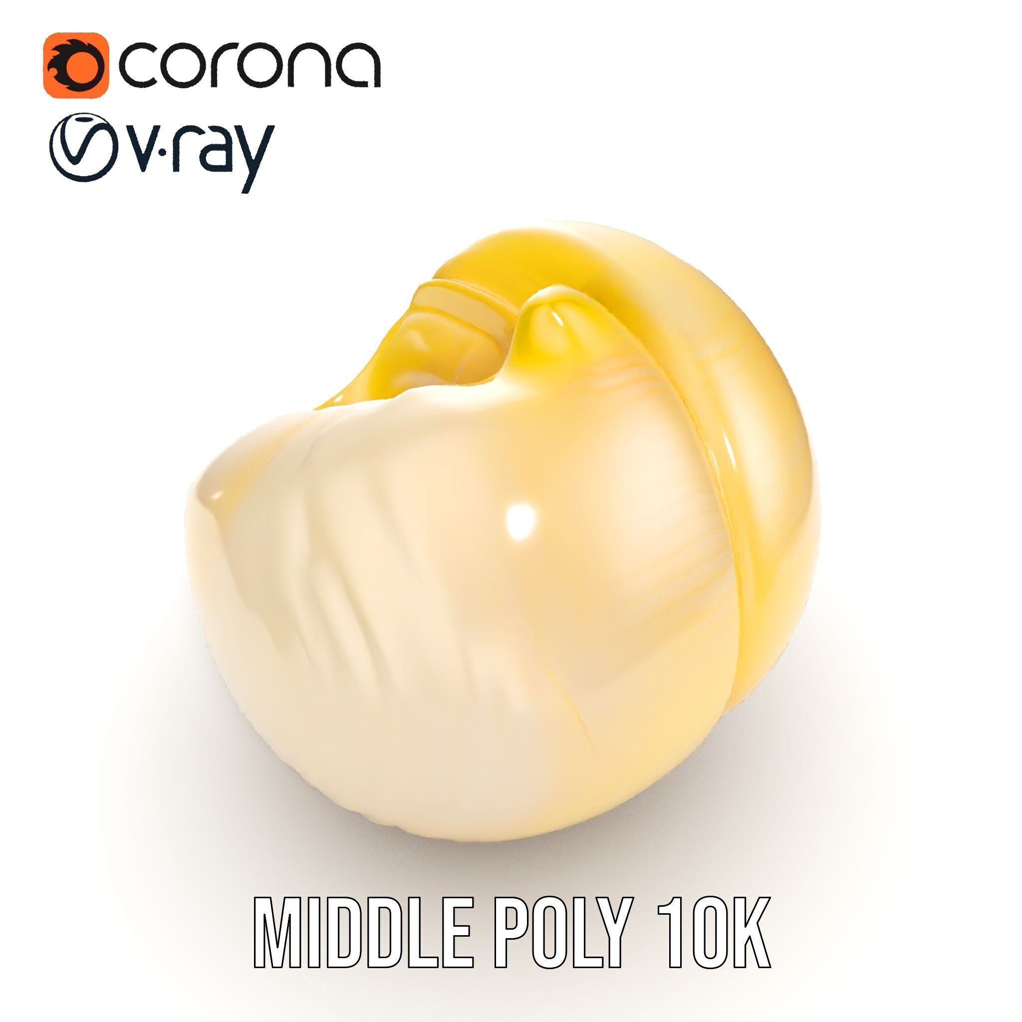 Elegant Seashell Model Pack for D Rendering and Game Design Low-poly 3D model_13